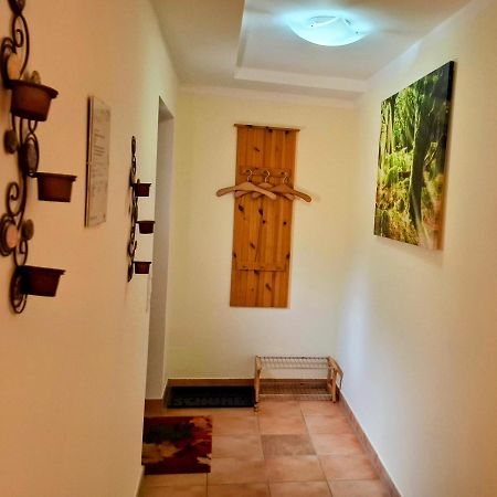 Ferienwohnung Im Landhaus Am Nationalpark Ludwigsthal المظهر الخارجي الصورة