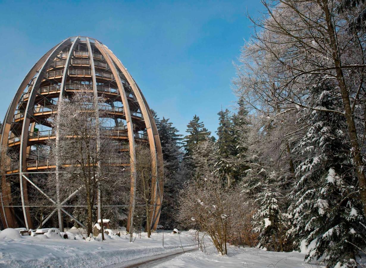 Ferienwohnung Im Landhaus Am Nationalpark Ludwigsthal المظهر الخارجي الصورة