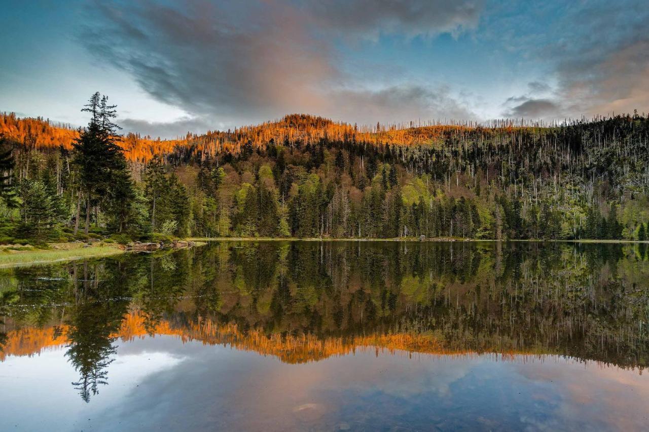 Ferienwohnung Im Landhaus Am Nationalpark Ludwigsthal المظهر الخارجي الصورة