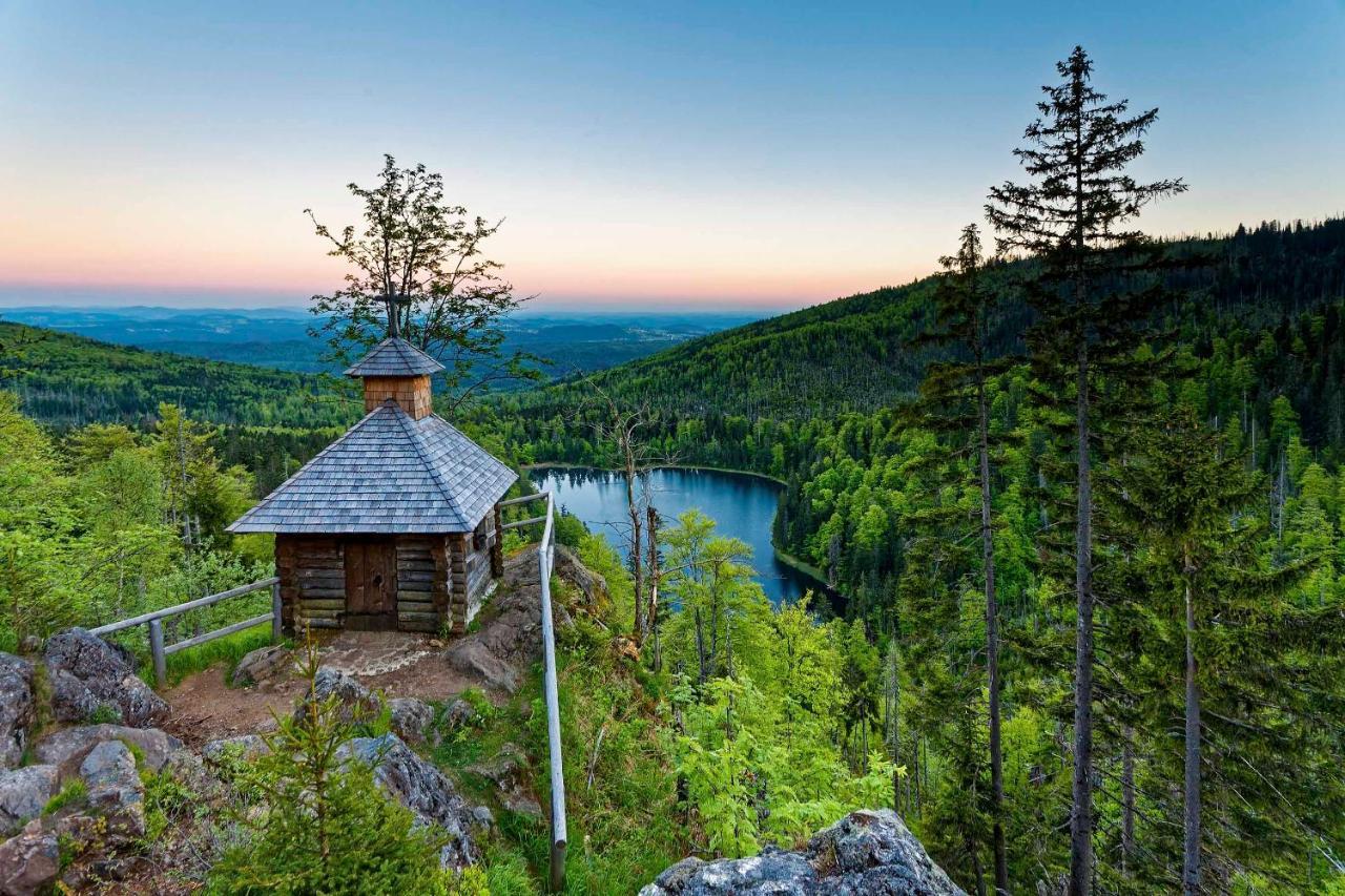Ferienwohnung Im Landhaus Am Nationalpark Ludwigsthal المظهر الخارجي الصورة