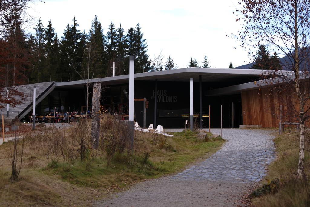 Ferienwohnung Im Landhaus Am Nationalpark Ludwigsthal المظهر الخارجي الصورة