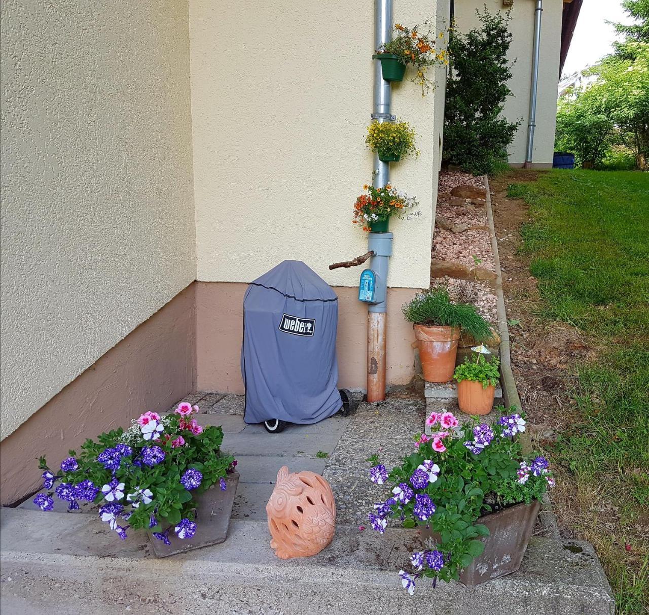 Ferienwohnung Im Landhaus Am Nationalpark Ludwigsthal المظهر الخارجي الصورة