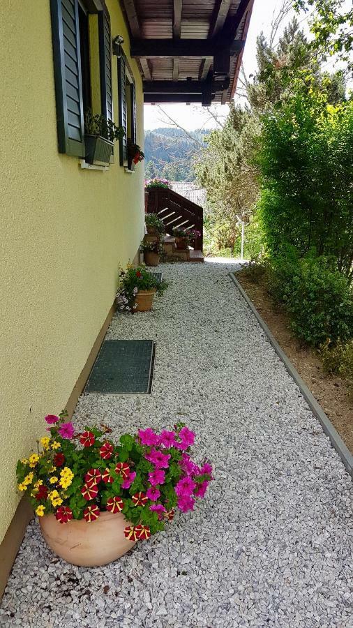 Ferienwohnung Im Landhaus Am Nationalpark Ludwigsthal المظهر الخارجي الصورة